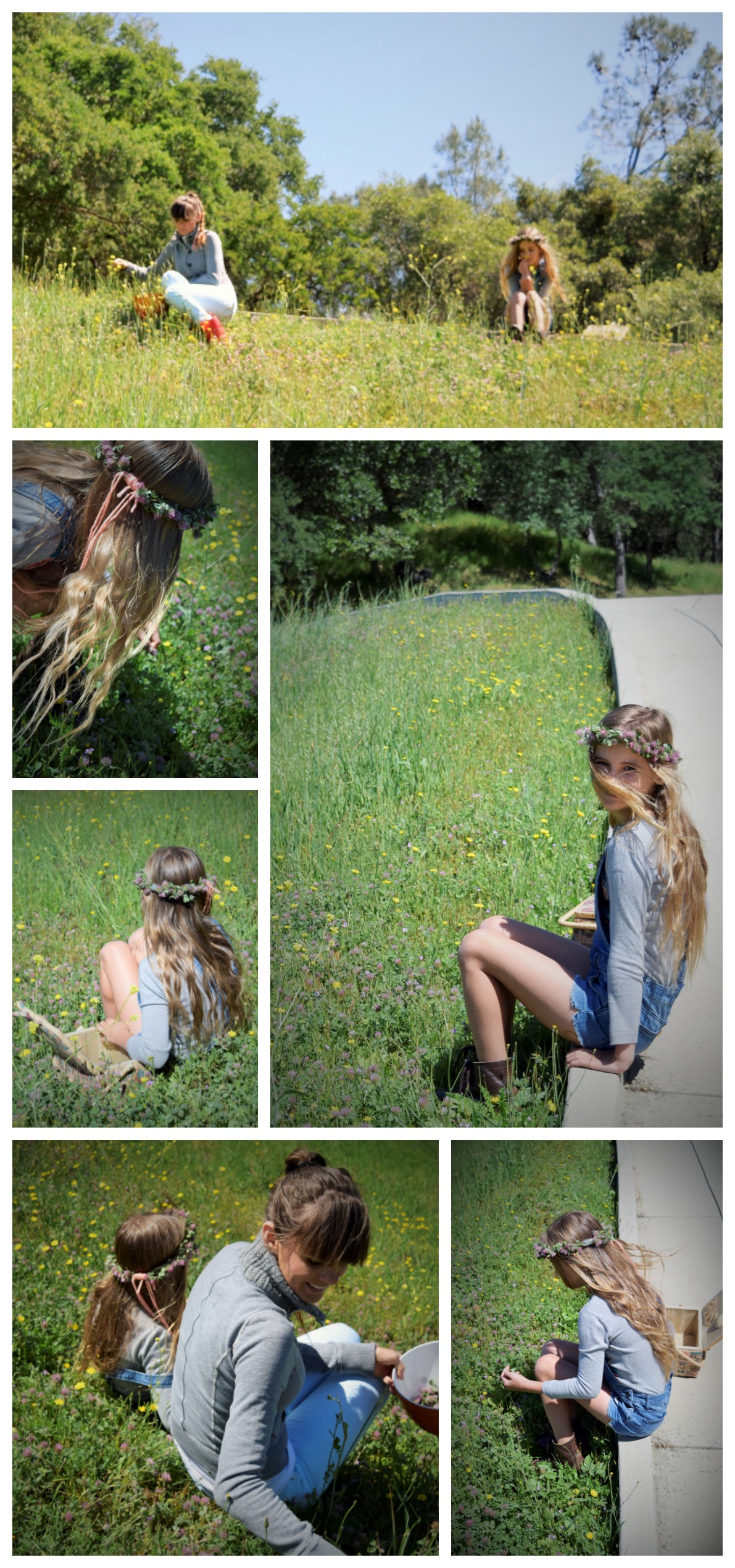 picking red clover