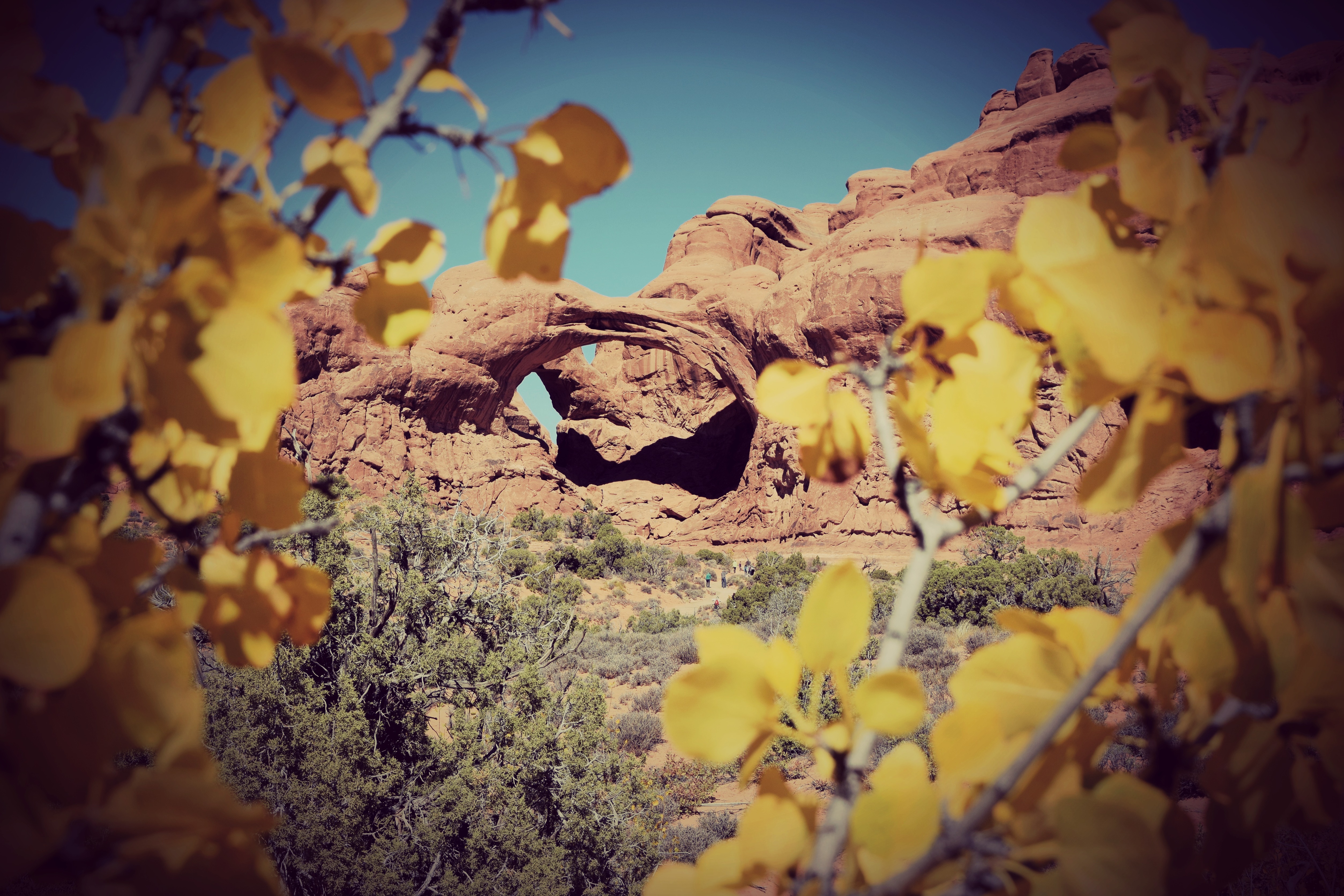 Delicate Arch and Beyond