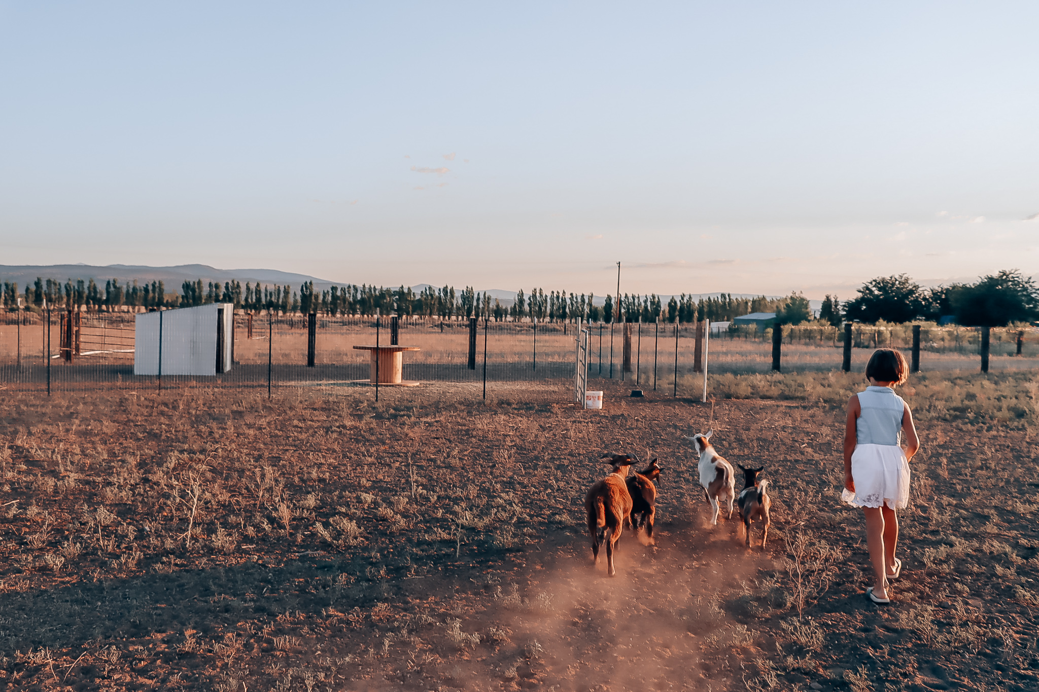 goat enclosure