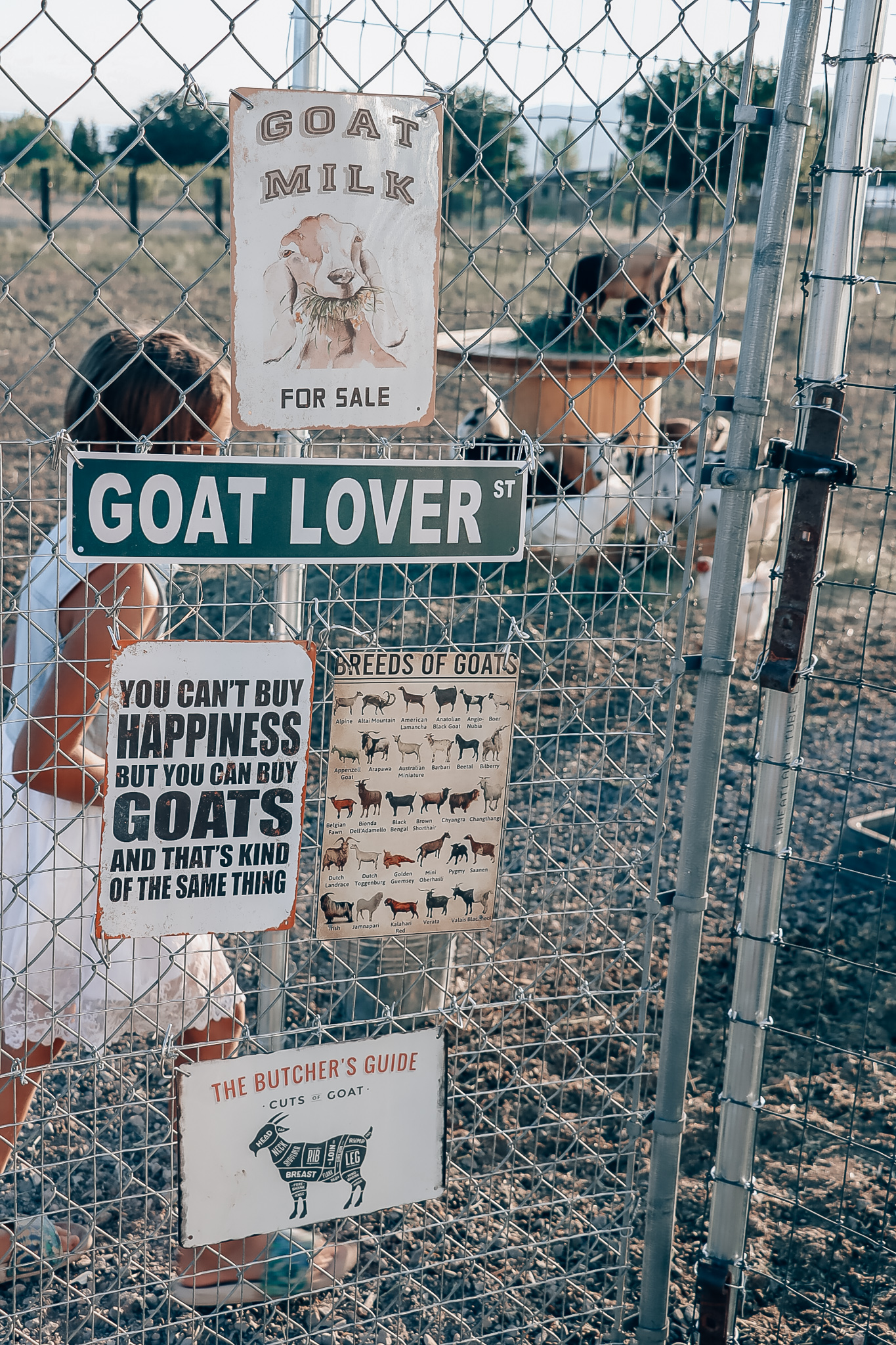 goat enclosure
