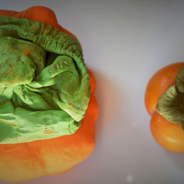 Grown Healthy: Persimmon Salad and Fun ….