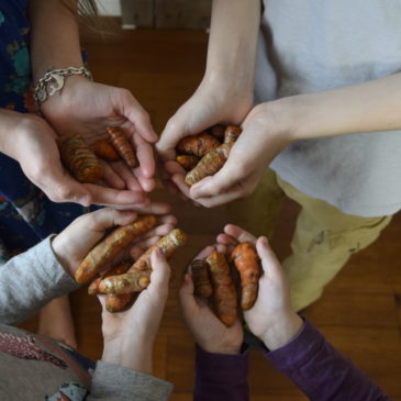 Grown Healthy: Root Turmeric