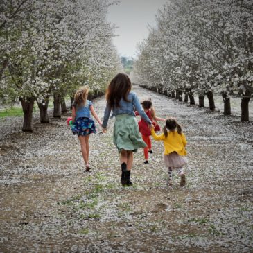 Almond Festival : Capay Valley