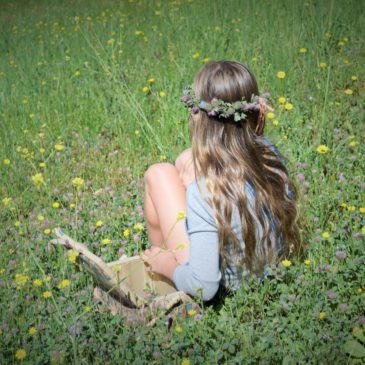 Wilderness Knowledge: Red Clover