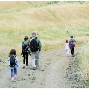 Black Diamond Mines Trail