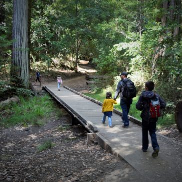 Among Santa Cruz Giants