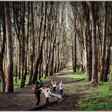 Exploring Presidio of San Francisco