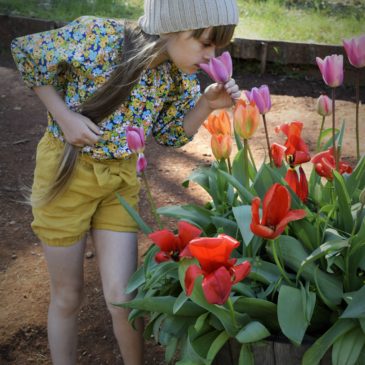 Spring in Gold Country