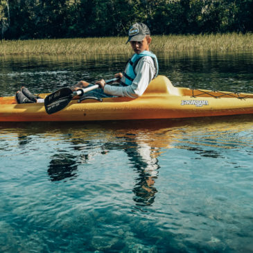 Road Trip Through West Coast of Florida