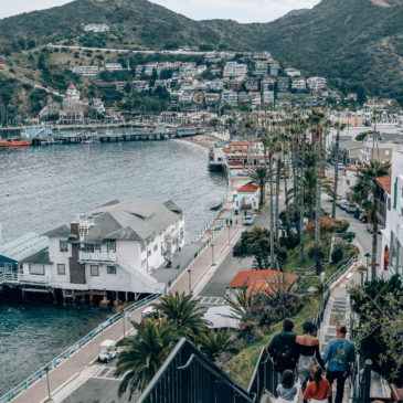 What to do in Avalon, CA