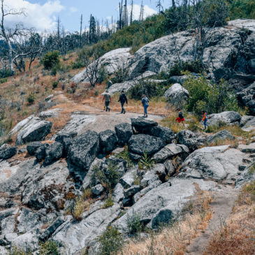 Bass Lake, CA